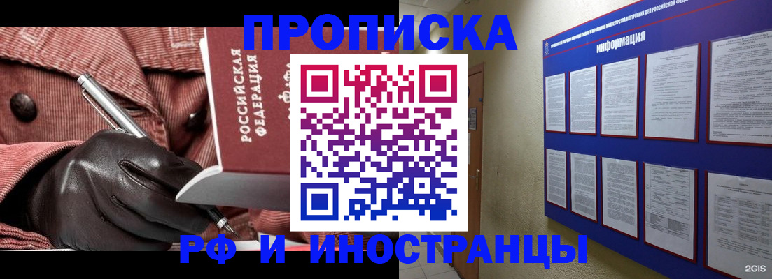прописка для школы в Купино