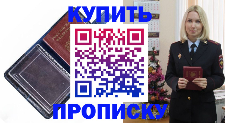 прописка поиск в Купино